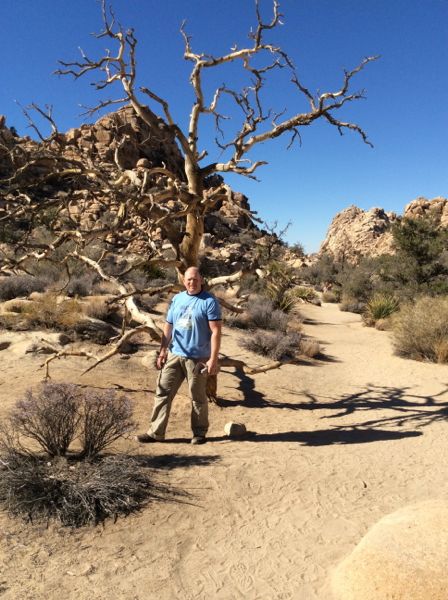 joshuatree1